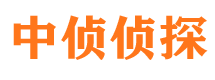 冷水江中侦私家侦探公司